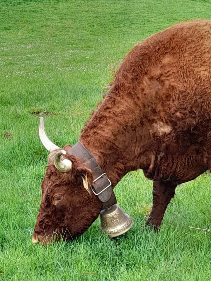 orderedImageAlt_ha_default