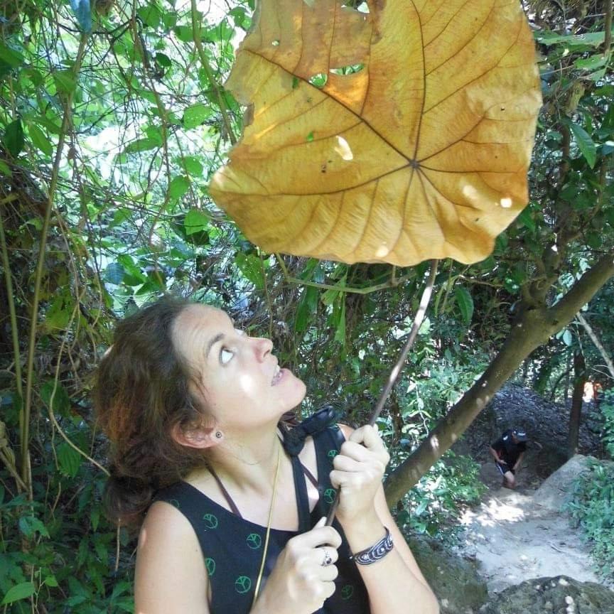 orderedImageAlt_ha_default