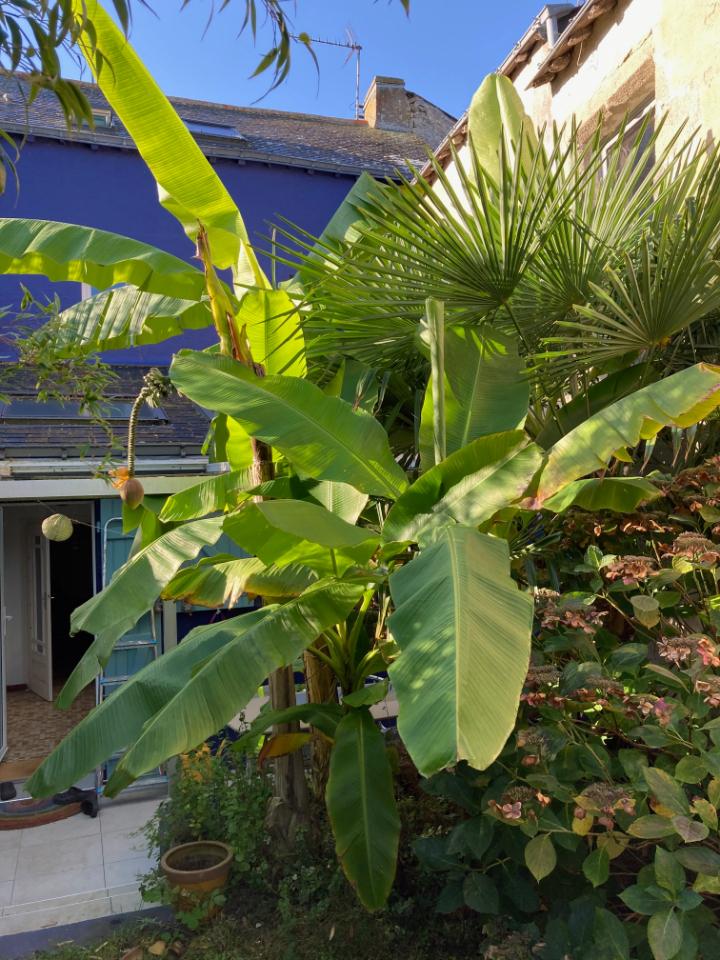 orderedImageAlt_ha_default