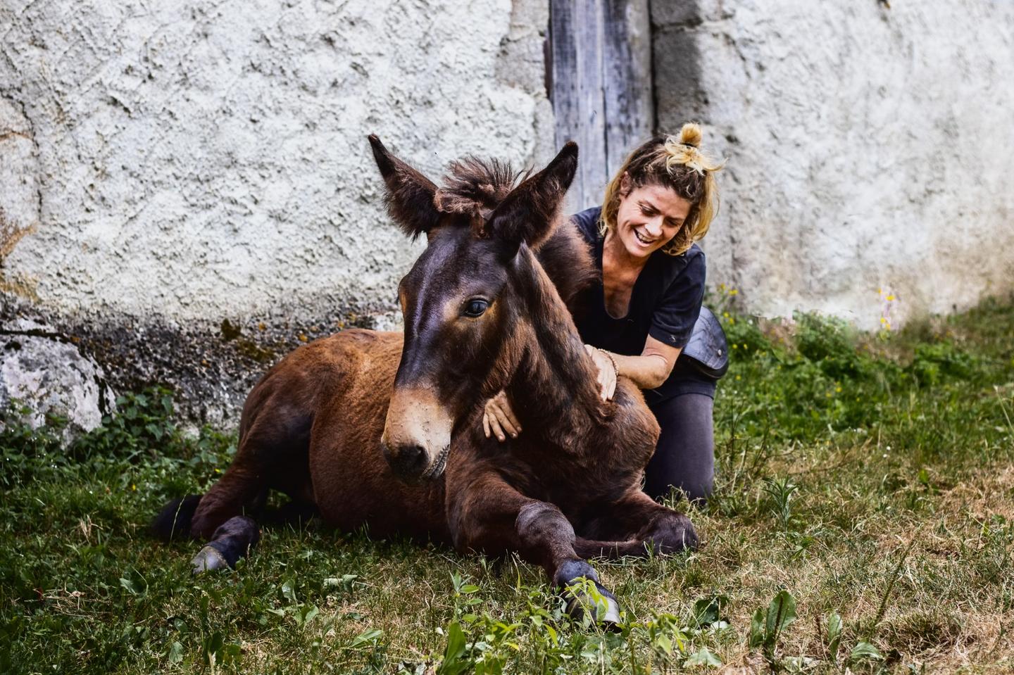 orderedImageAlt_ha_default