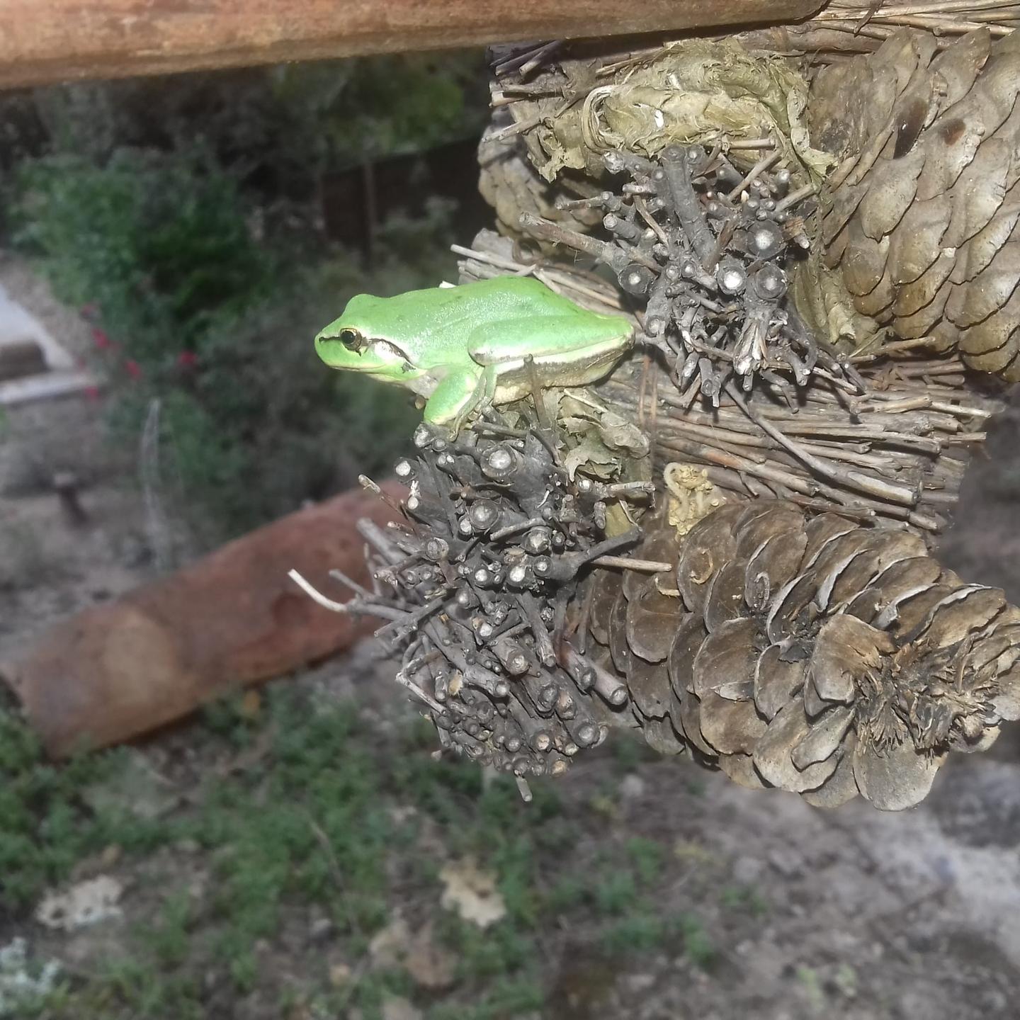 orderedImageAlt_ha_default