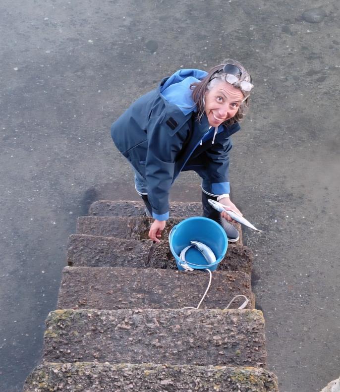 orderedImageAlt_ha_default