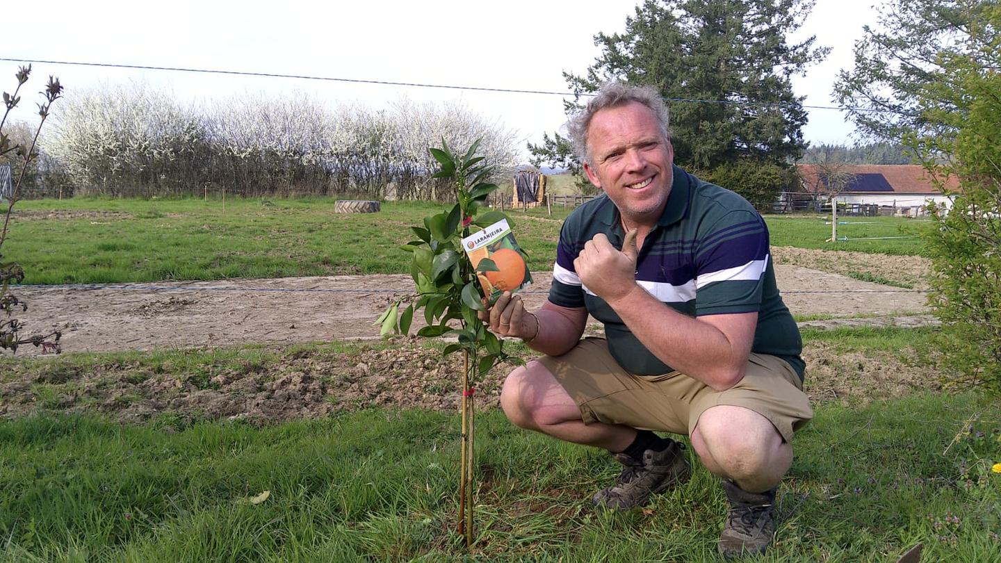 orderedImageAlt_ha_default