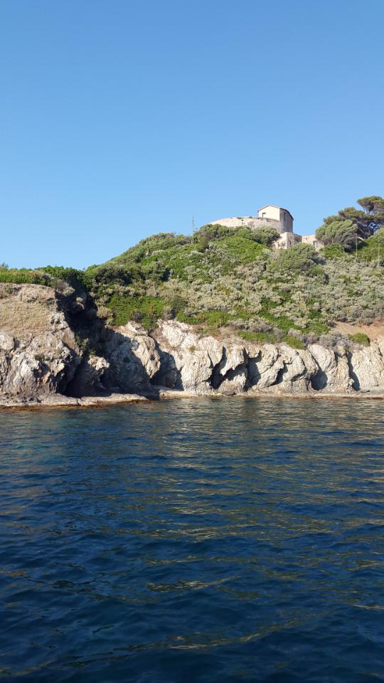 orderedImageAlt_ha_default