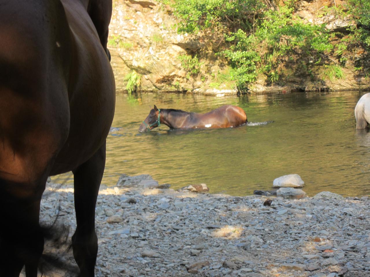 orderedImageAlt_ha_default