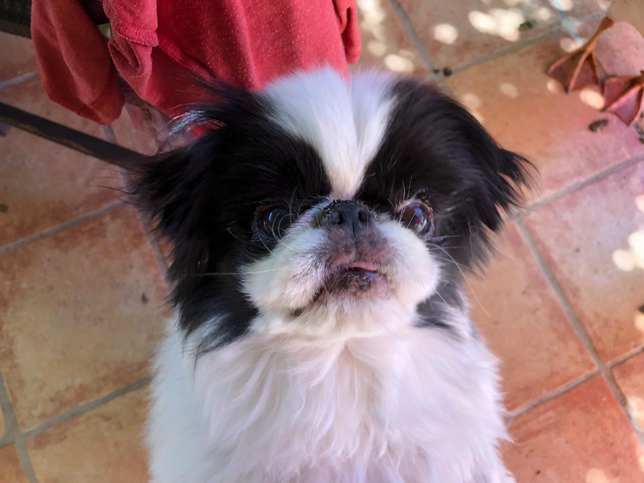 orderedImageAlt_ha_default