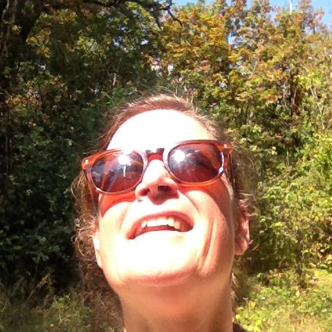 orderedImageAlt_ha_default