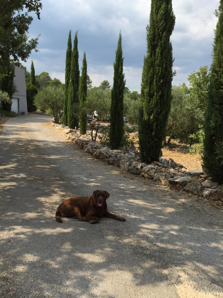 orderedImageAlt_ha_default