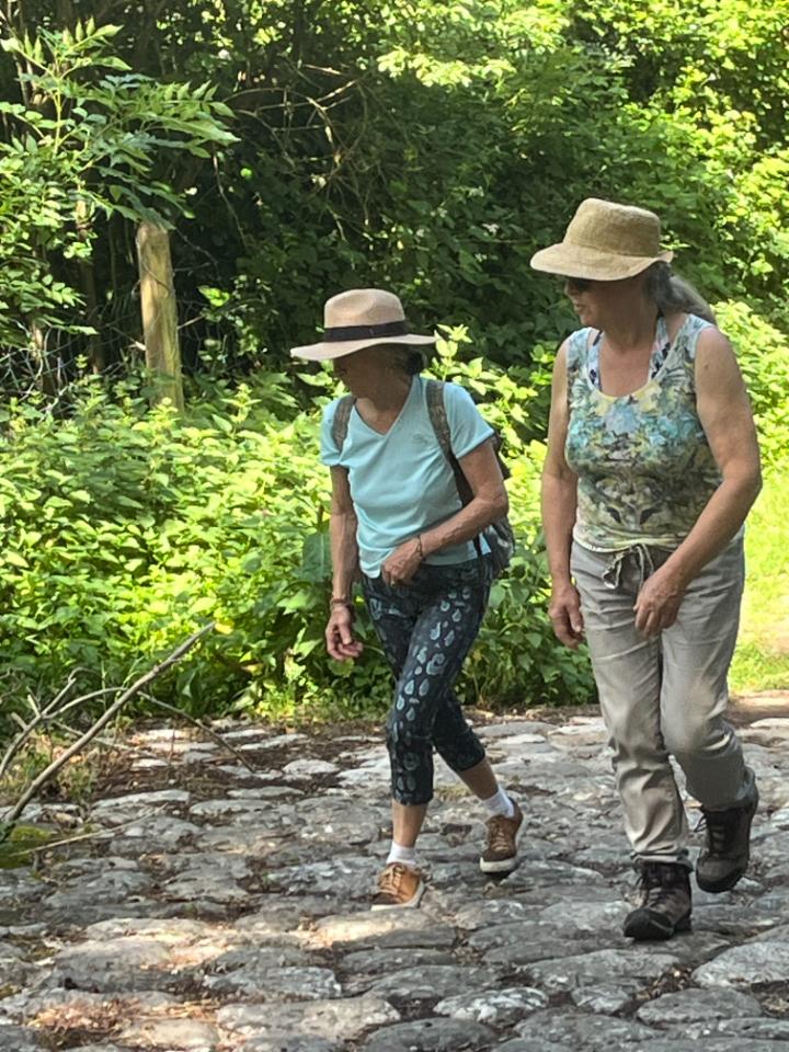 orderedImageAlt_ha_default