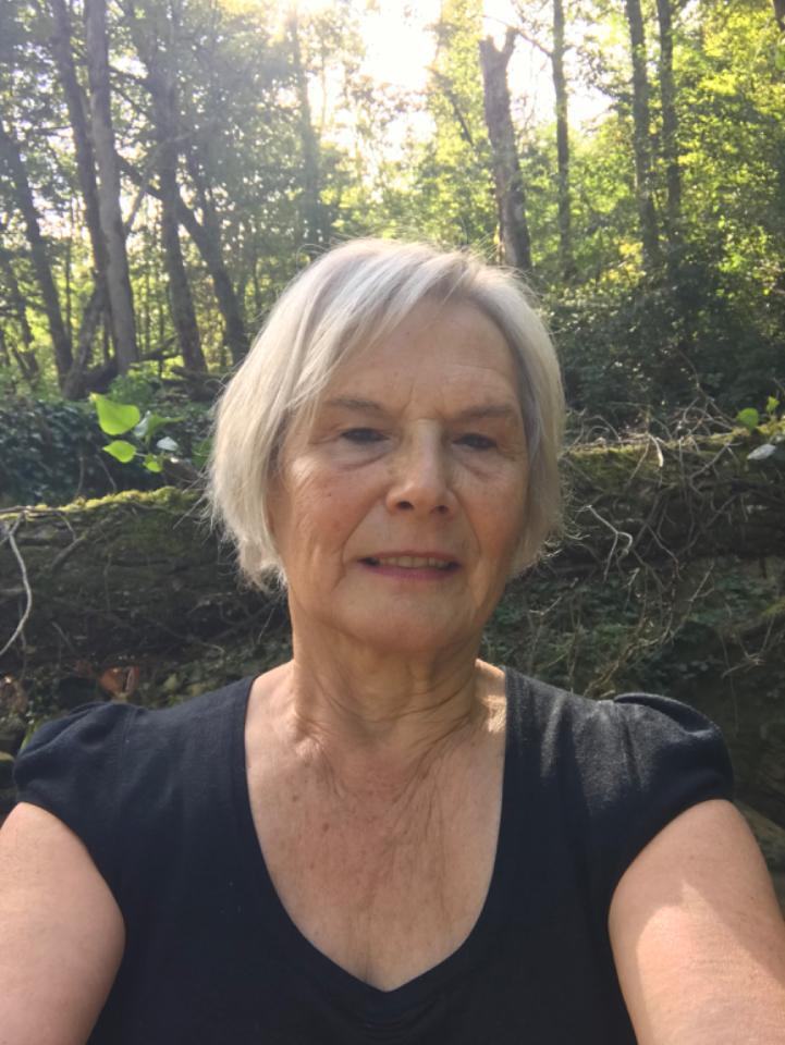 orderedImageAlt_ha_default