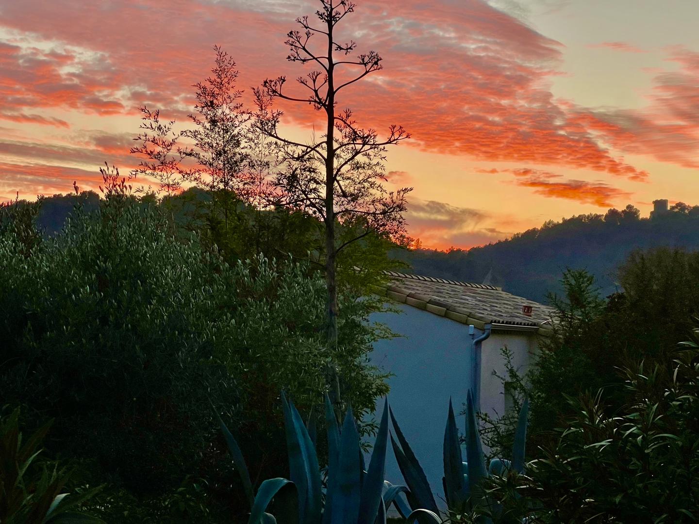 orderedImageAlt_ha_default