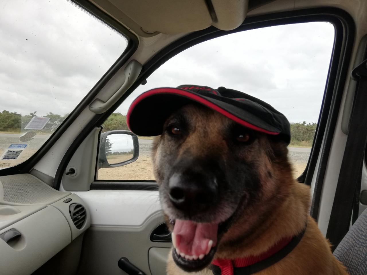 orderedImageAlt_ha_default