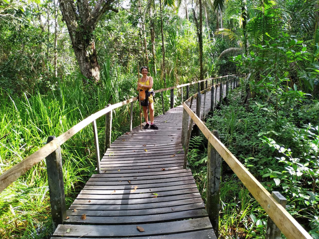 orderedImageAlt_ha_default