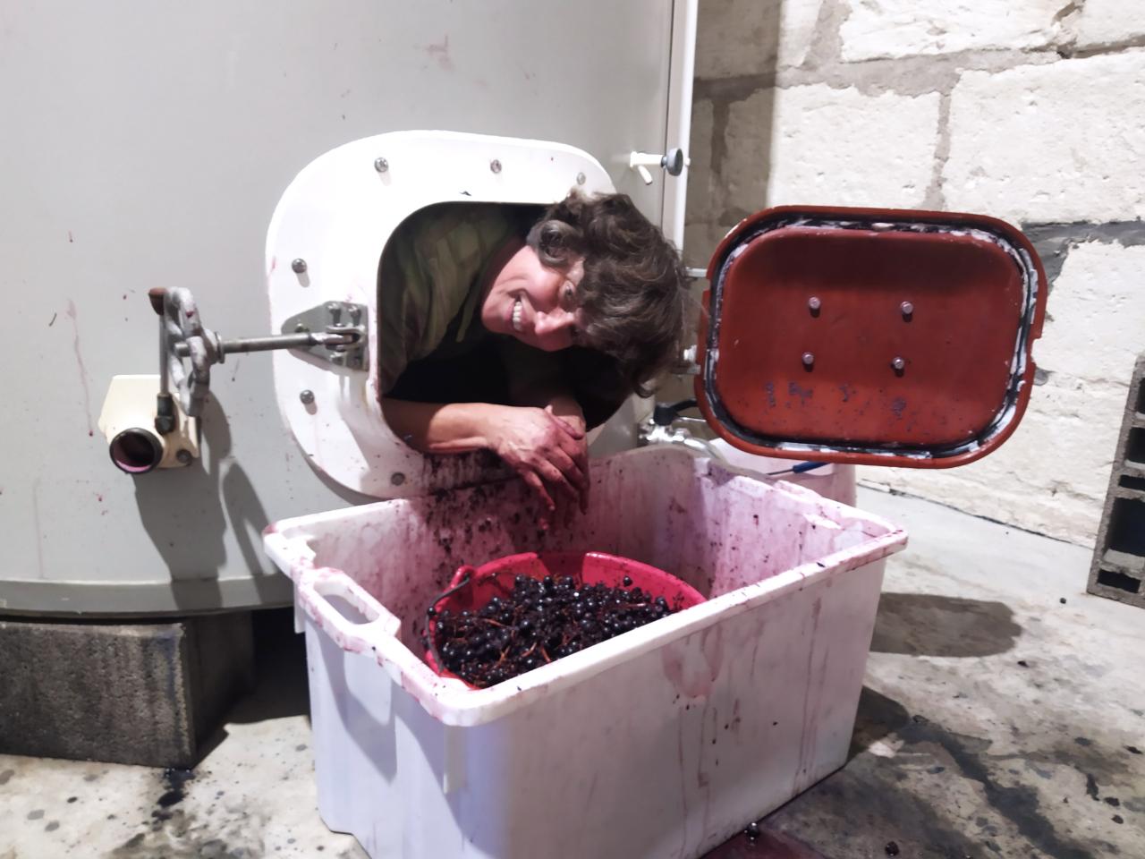 orderedImageAlt_ha_default