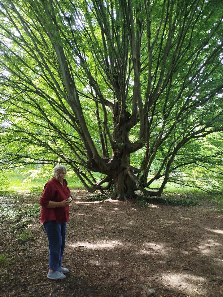 orderedImageAlt_ha_default