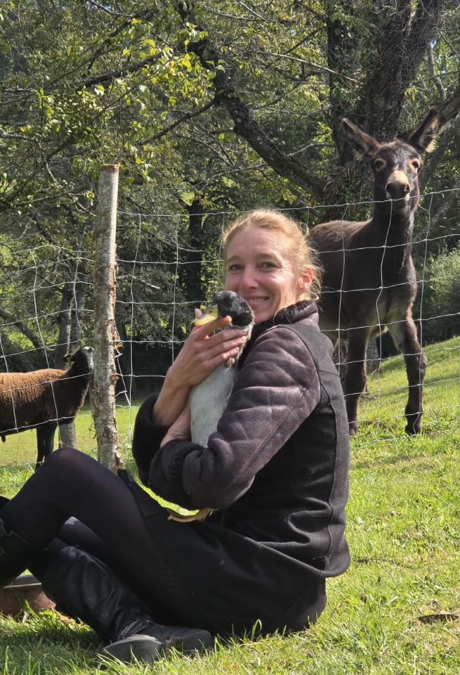 orderedImageAlt_ha_default