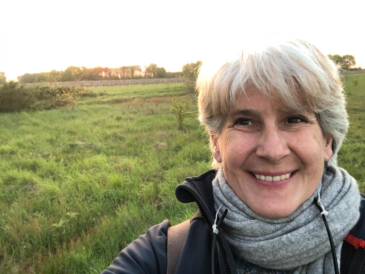 orderedImageAlt_ha_default