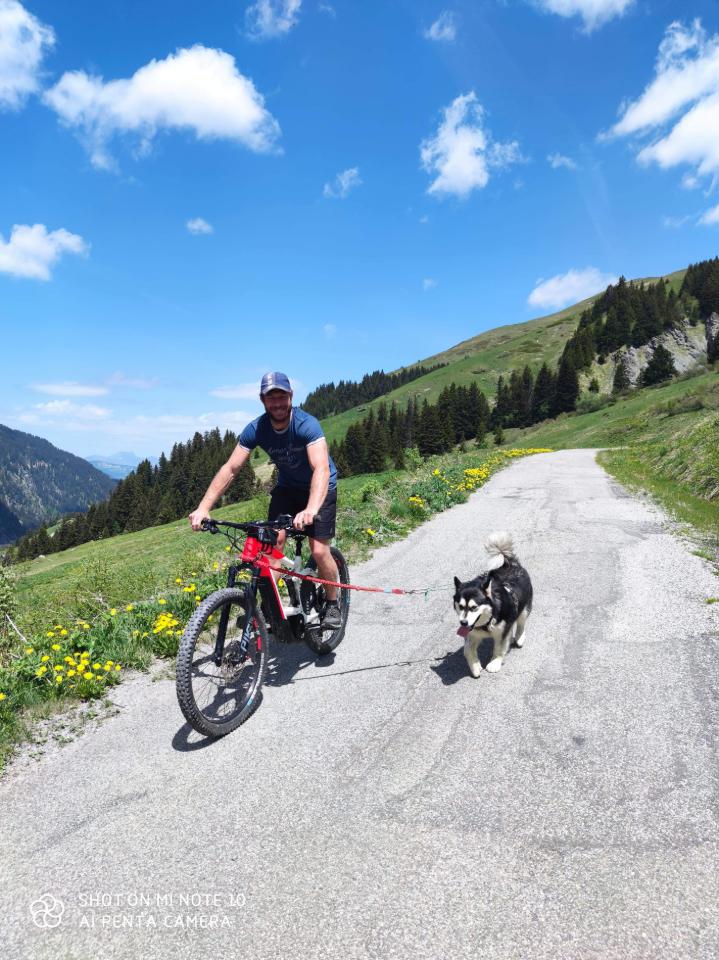 orderedImageAlt_ha_default