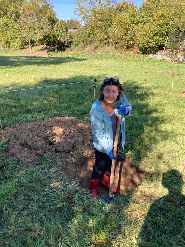 orderedImageAlt_ha_default