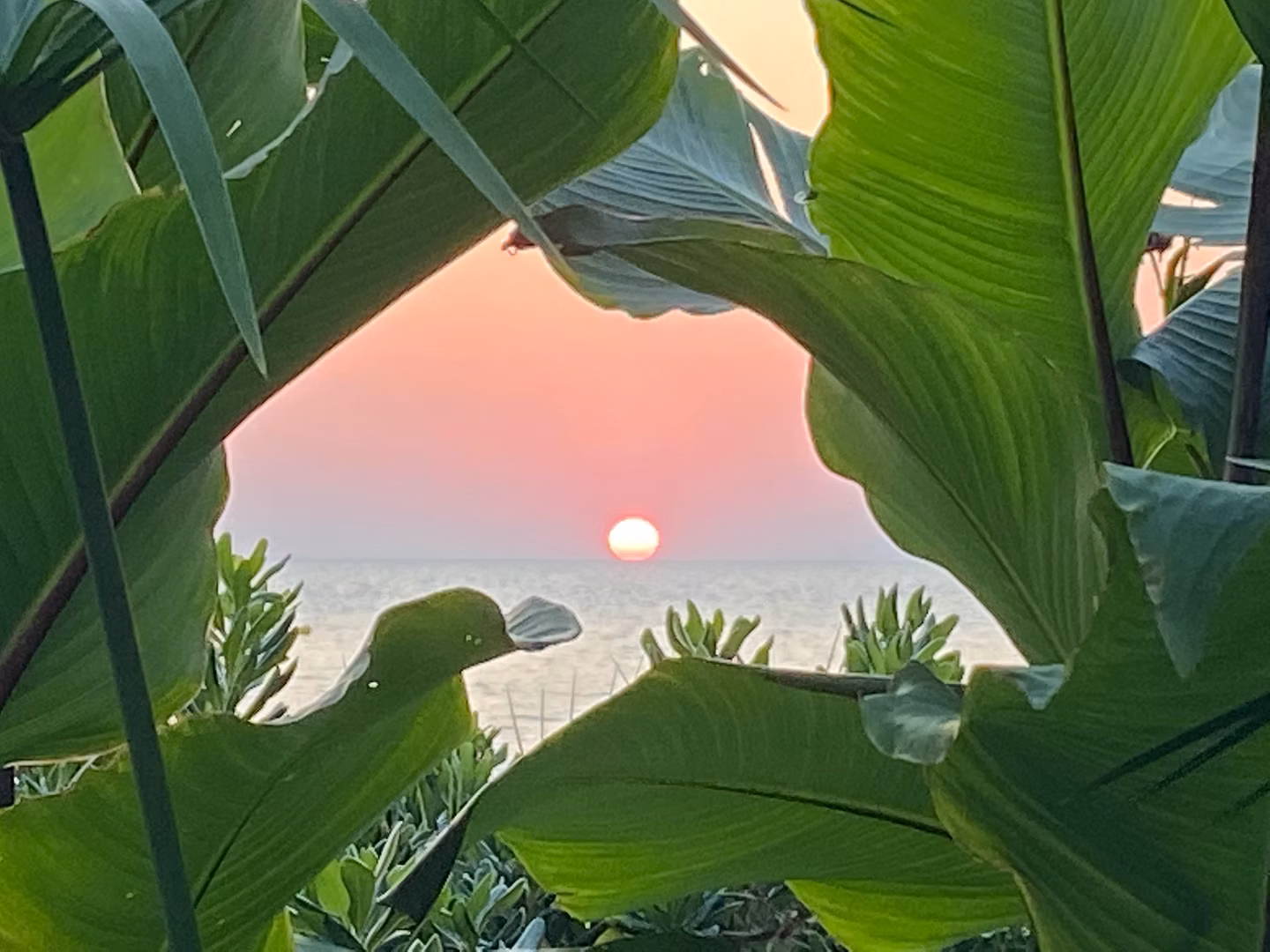 orderedImageAlt_ha_default