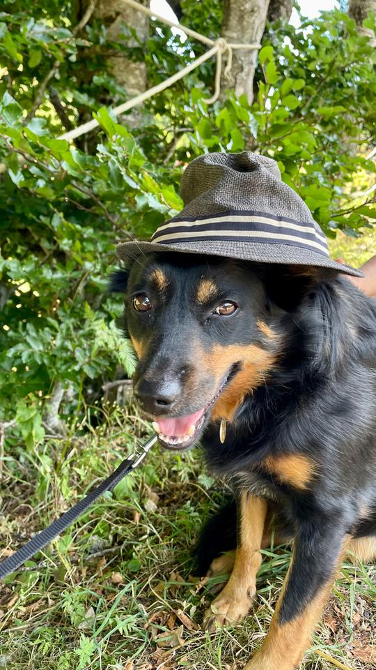 orderedImageAlt_ha_default