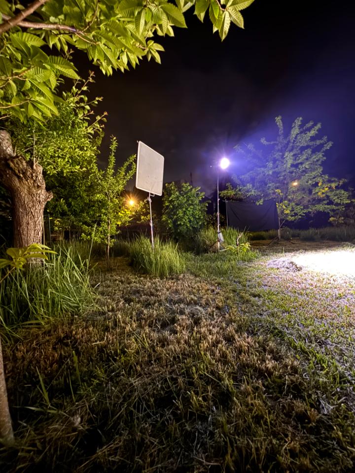 orderedImageAlt_ha_default