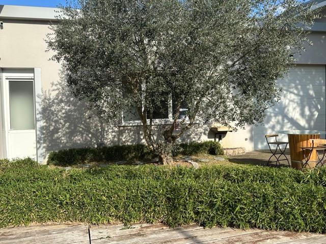 orderedImageAlt_ha_default