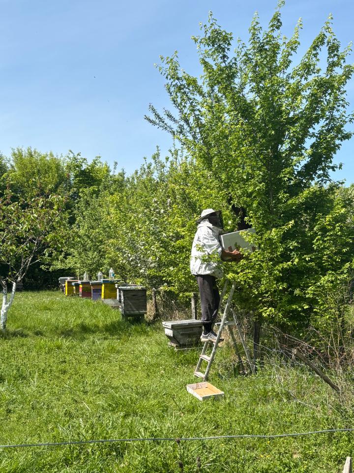 orderedImageAlt_ha_default