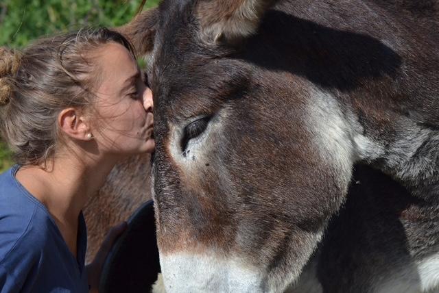 orderedImageAlt_ha_default