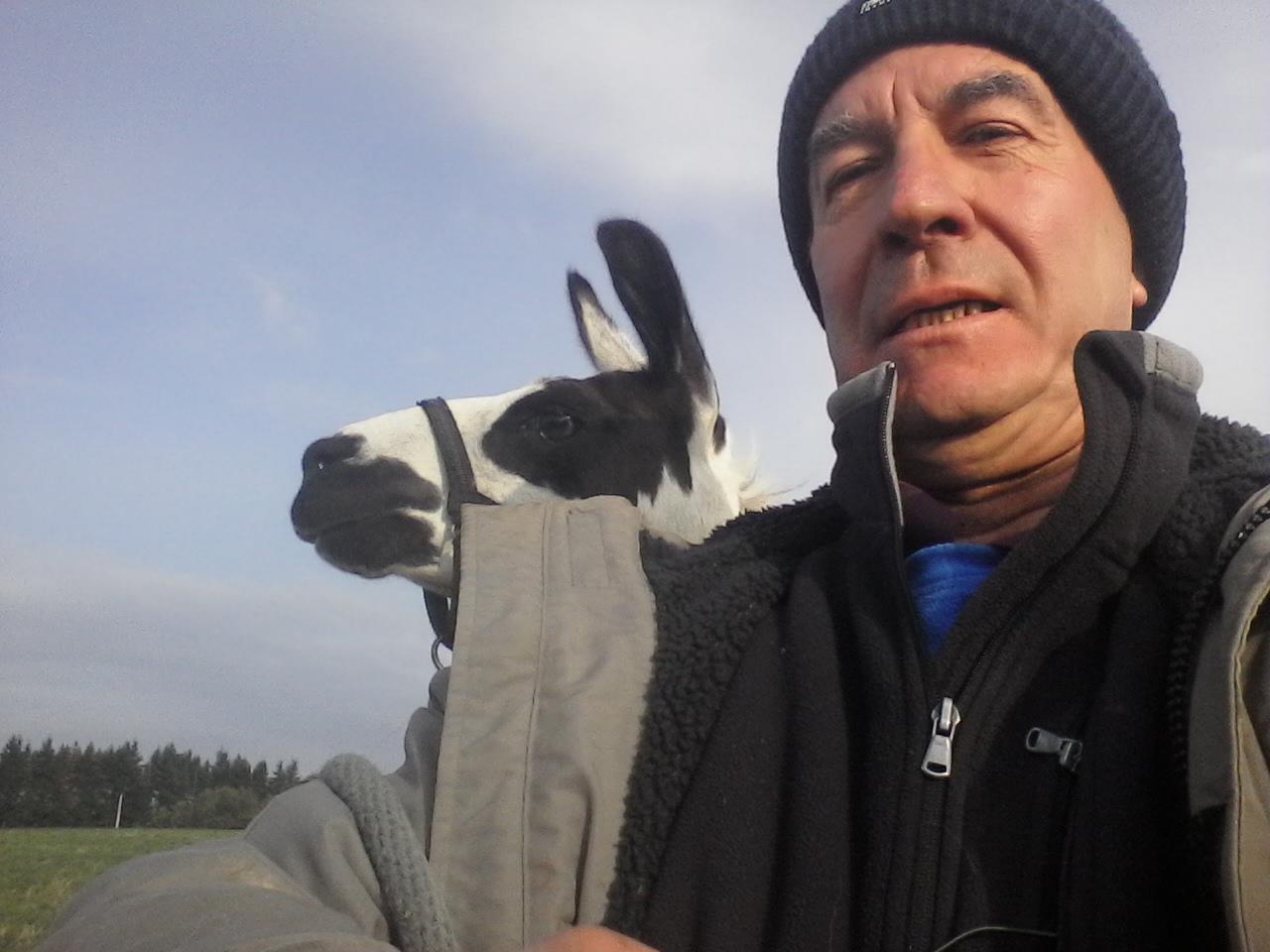 orderedImageAlt_ha_default