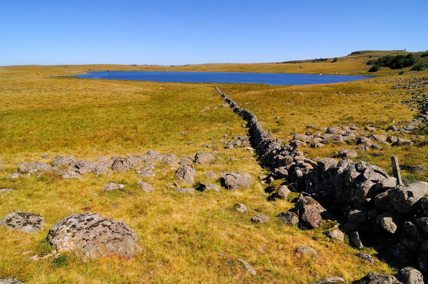 orderedImageAlt_ha_default