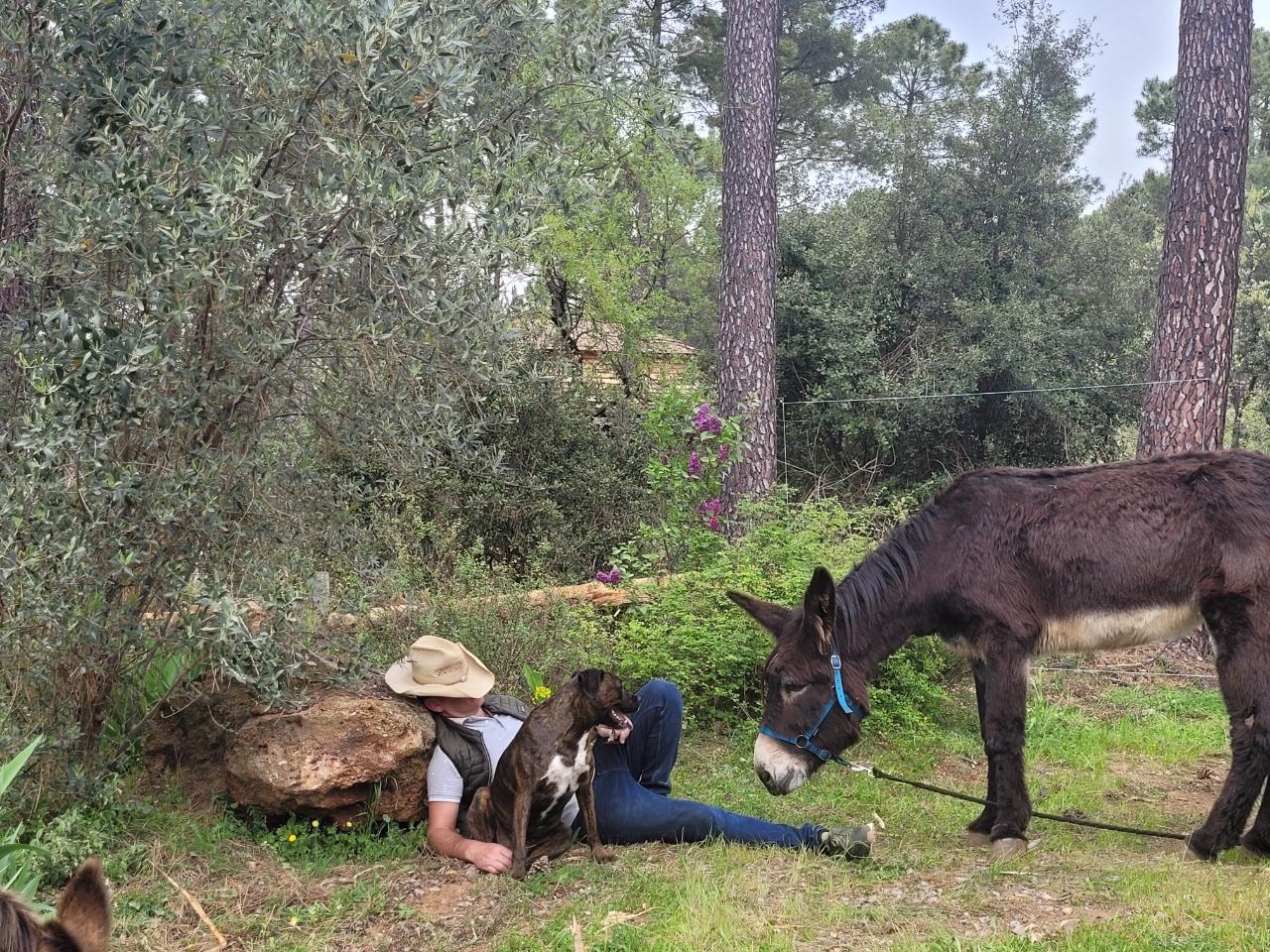 orderedImageAlt_ha_default