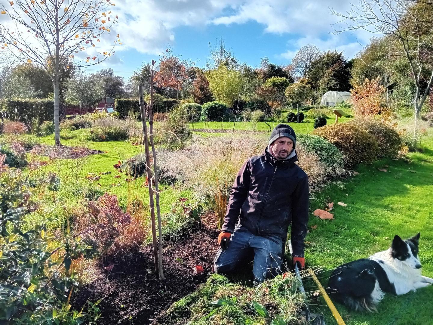 orderedImageAlt_ha_default