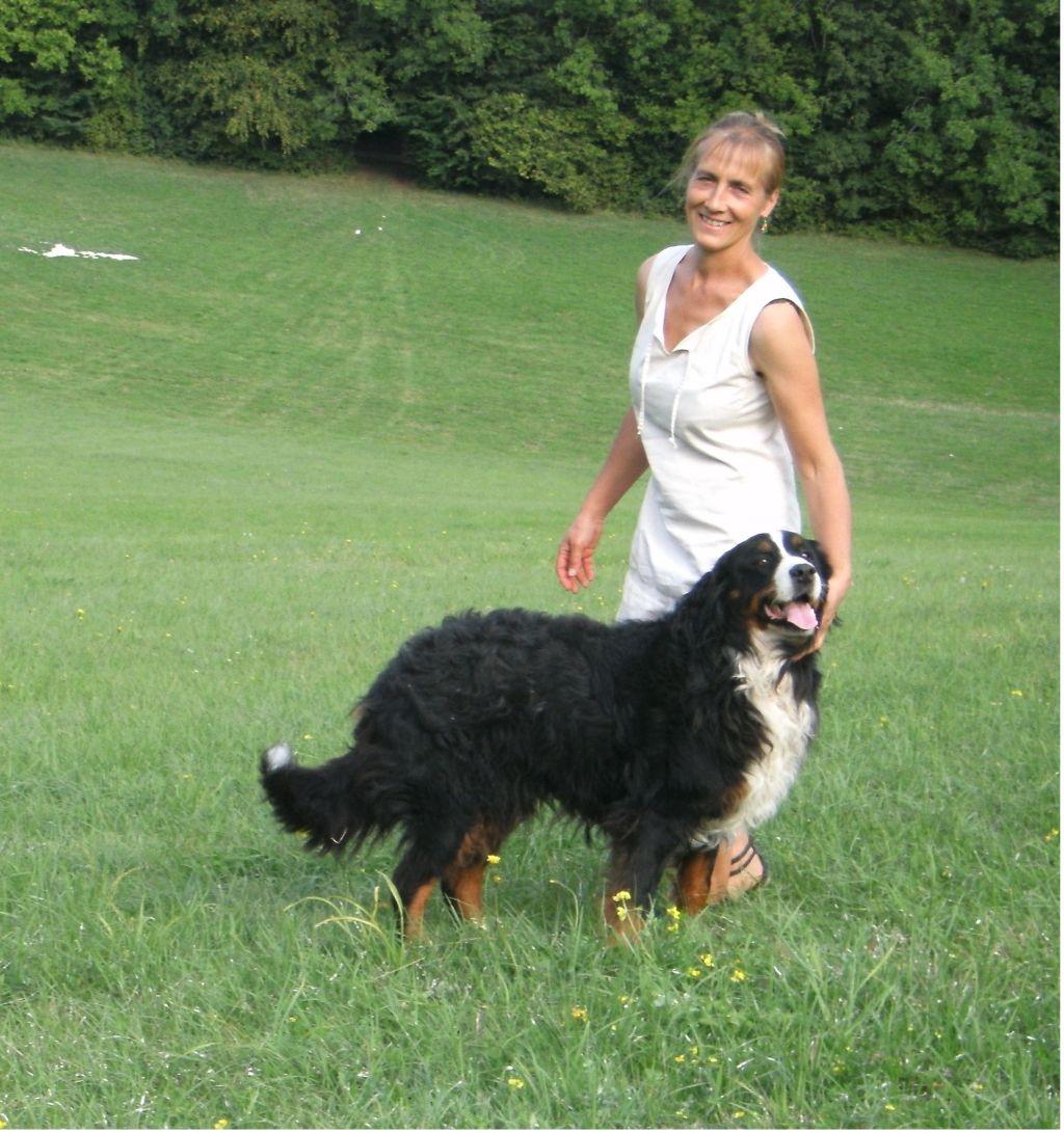 orderedImageAlt_ha_default