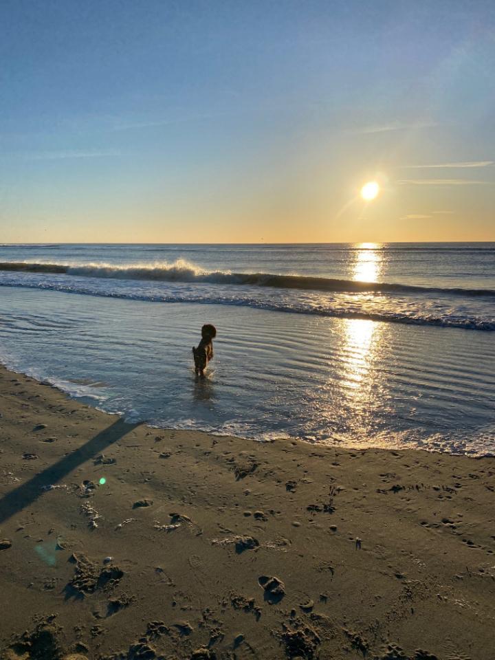 orderedImageAlt_ha_default