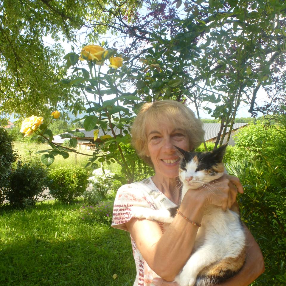 orderedImageAlt_ha_default