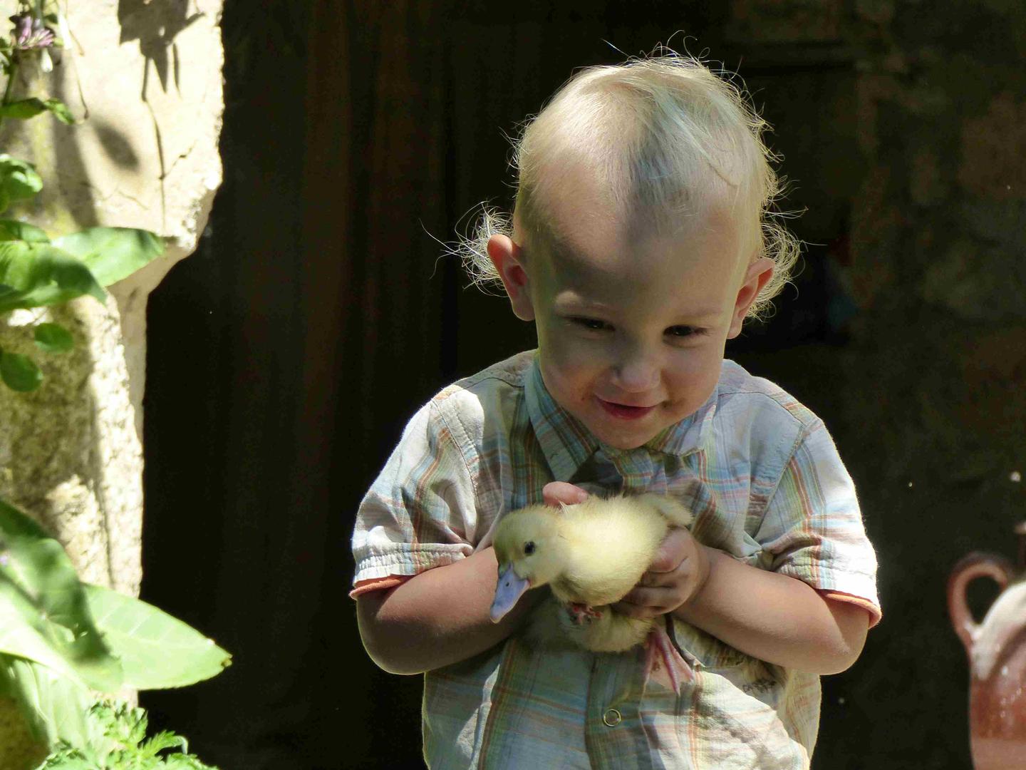 orderedImageAlt_ha_default