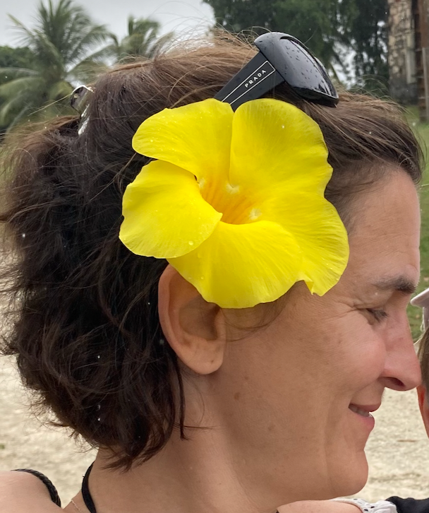 orderedImageAlt_ha_default