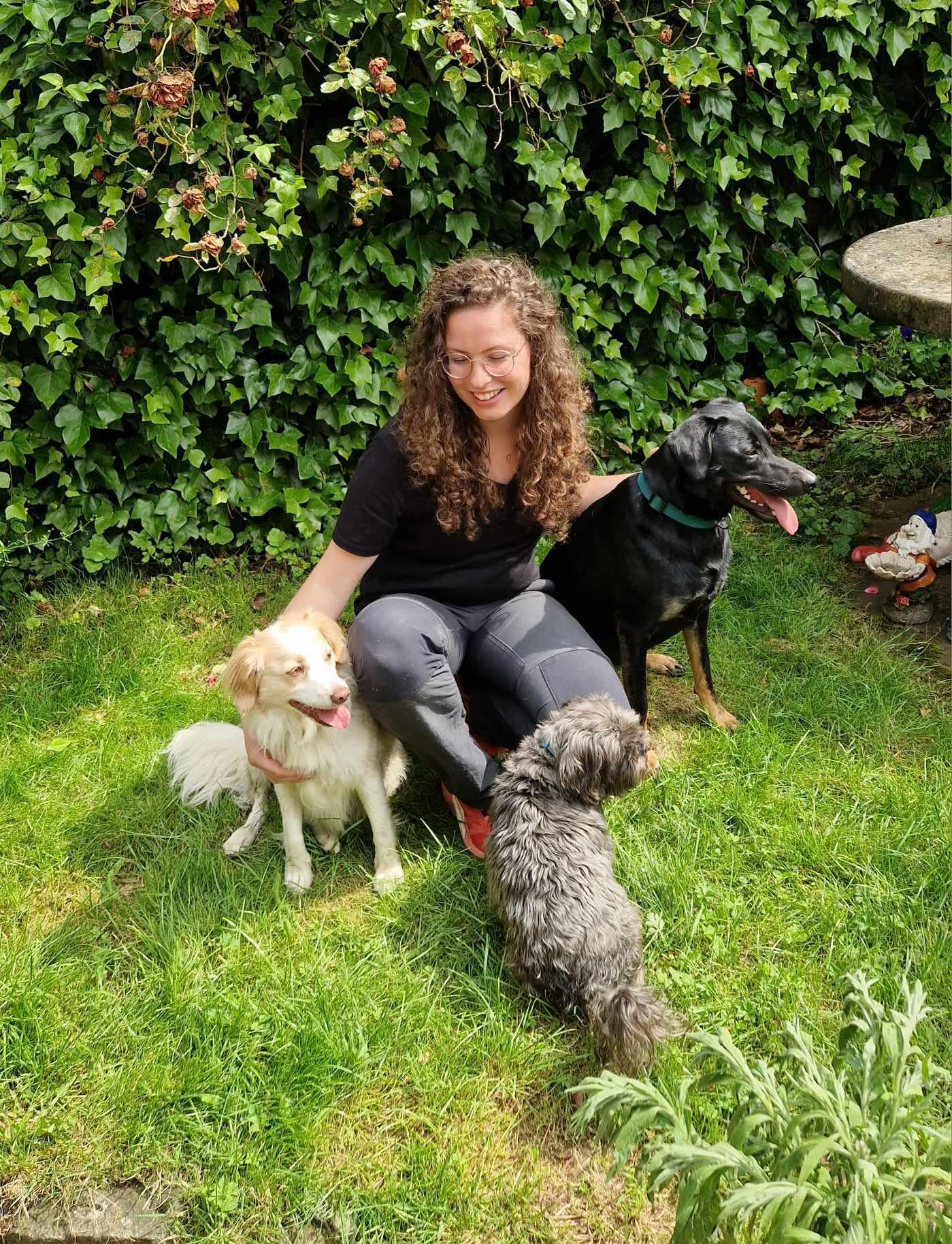 orderedImageAlt_ha_default