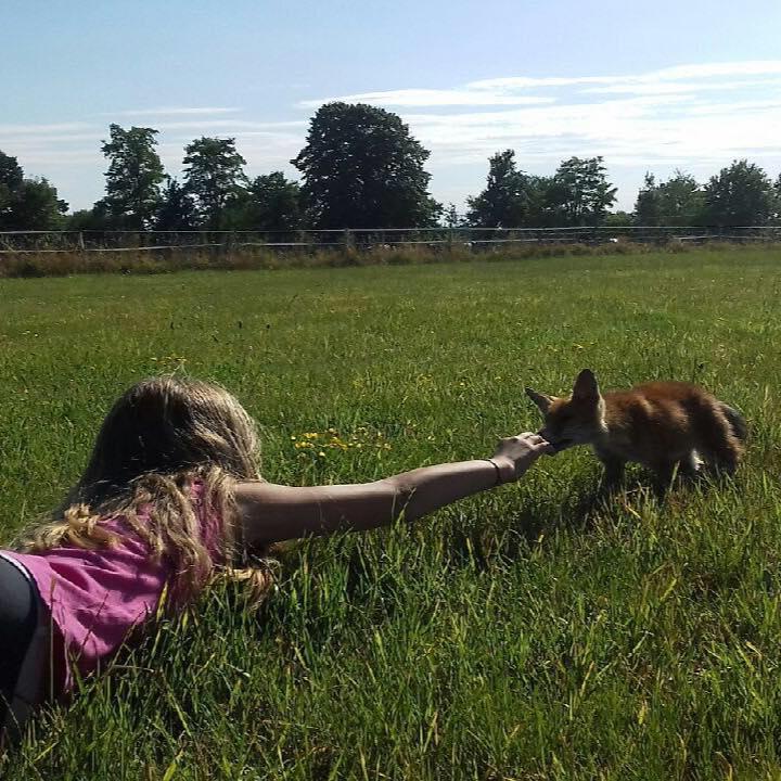 orderedImageAlt_ha_default