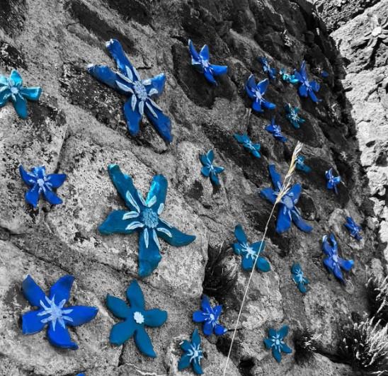 orderedImageAlt_ha_default