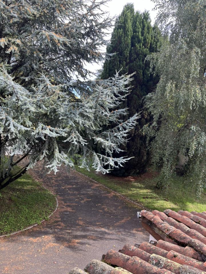 orderedImageAlt_ha_default