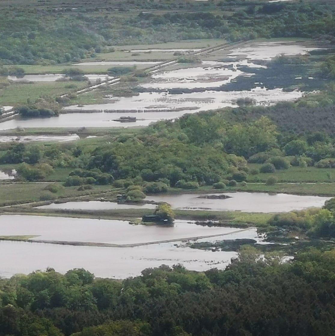 orderedImageAlt_ha_default