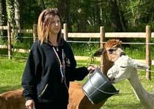 orderedImageAlt_ha_default