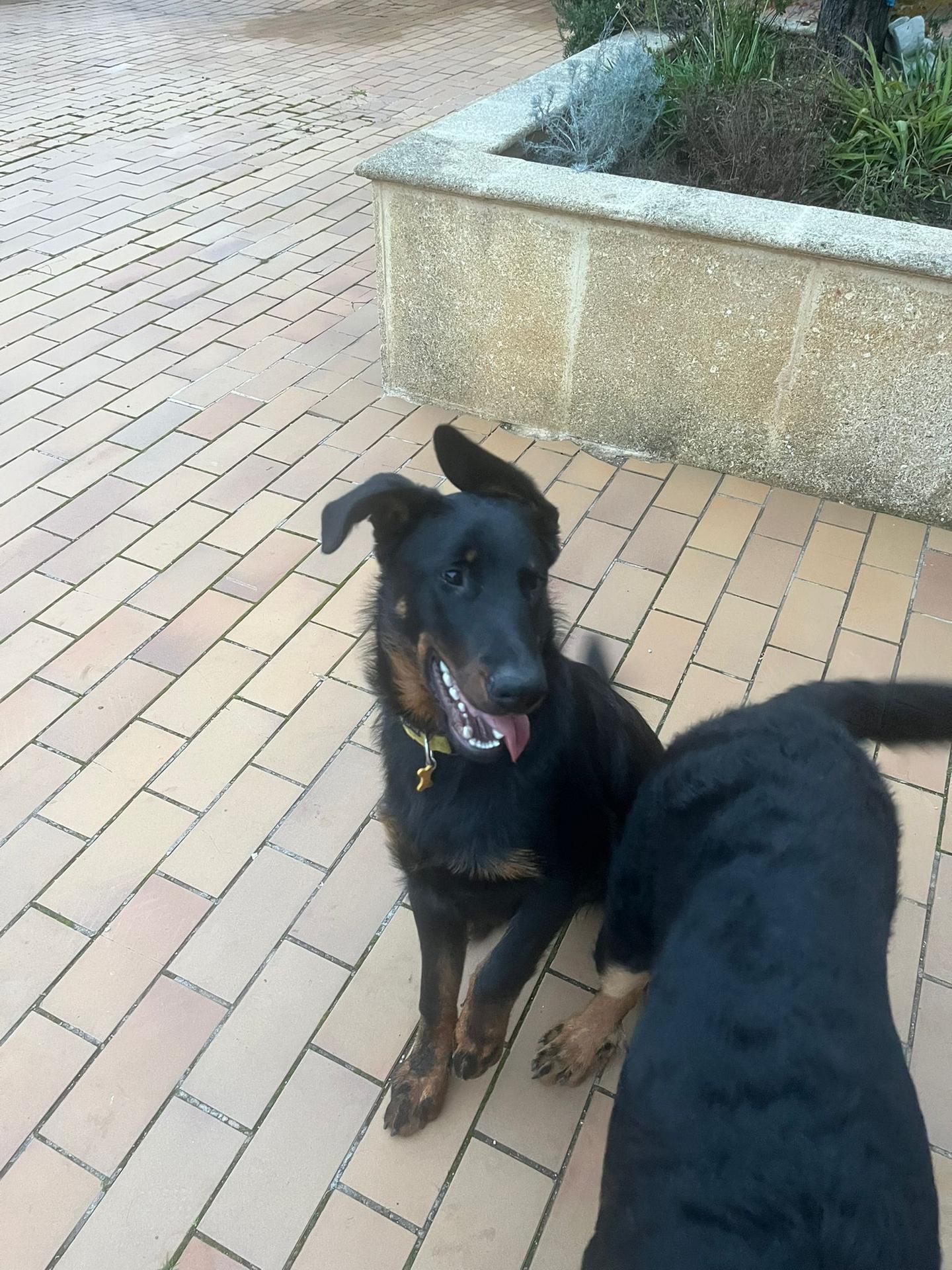 orderedImageAlt_ha_default