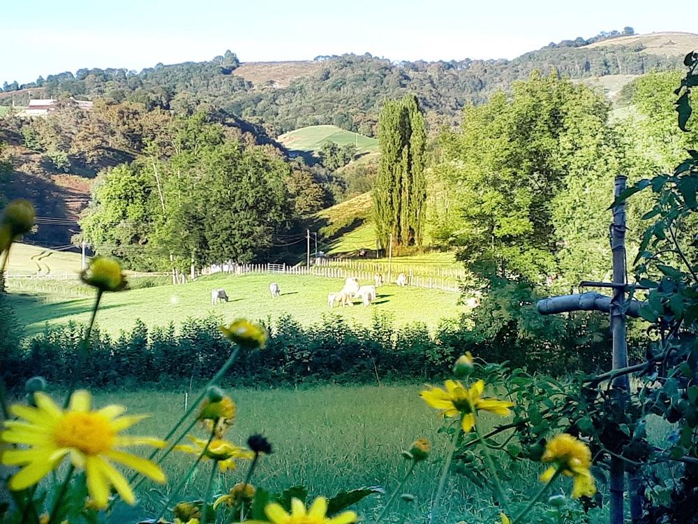 Hôte GreenGo: Chez Naty petit coin de paradis au Pays Basque - Image 18