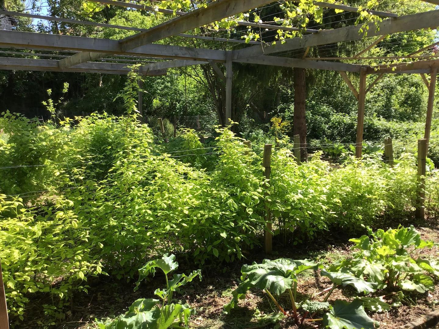 Carte cadeau GreenGo