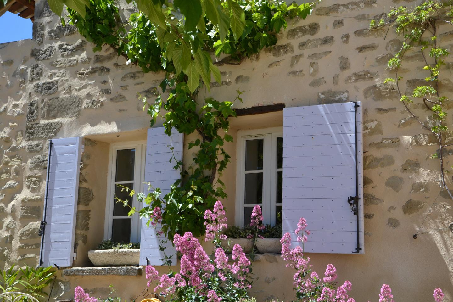 Carte cadeau GreenGo