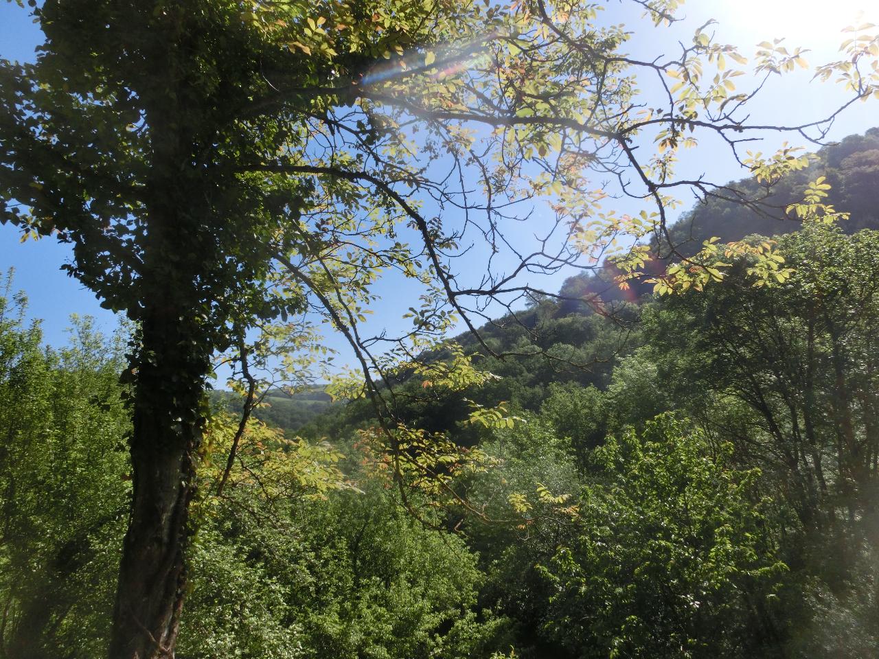 GreenGo Gîte Occitanie Évasion