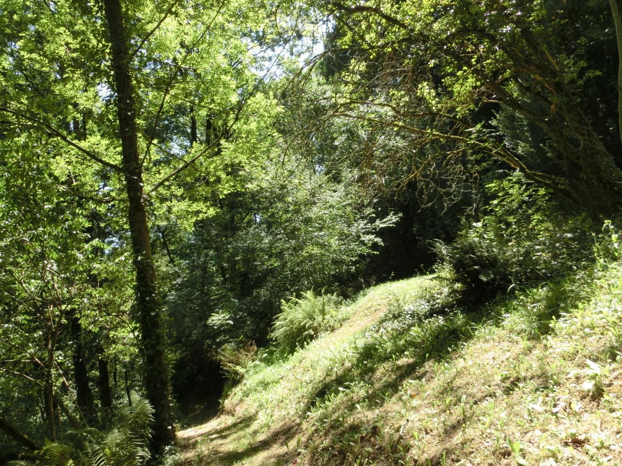 GreenGo location vacances écoresponsables